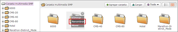 Rename Files/Folders