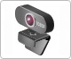 Video In Video In